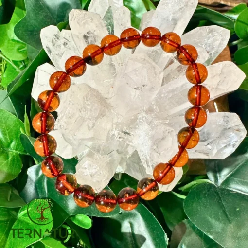 🌞 Bracelet en Ambre Magique – Énergie Vitale et Protection – Image 2